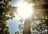 Europe’s Most Godless Country May Surprise You